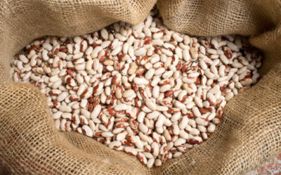 Presìdi Slow food, cosa sono e perché sono importanti.